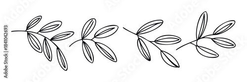 Set of delicate branch outlines with oval leaves in a simple line style for organic and natural themed graphic applications and decorative use