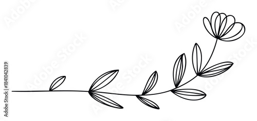 Delicate black line drawing of a floral stem with leaves and a bloom creating a flowing organic flourish for decorative purposes or graphic accents
