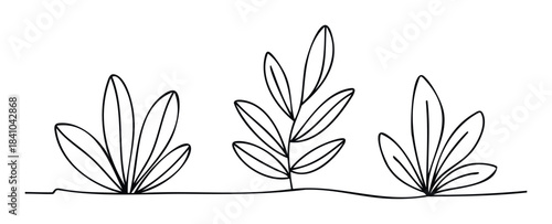 Simple outline of three stylized plants with leaves sprouting from a ground line, perfect for naturethemed graphic applications and web decorations