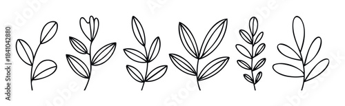 Six delicate hand drawn plant sprigs with leaves in simple black outline for organic branding and natural design purposes