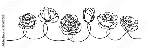 Minimalist single line drawing of various rose blooms with swirling stems, perfect for floral invitations, cosmetic branding, and gardenthemed promotions.