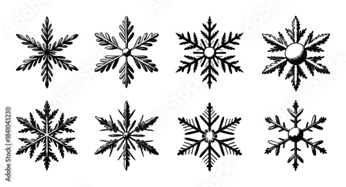 Collection of eight unique black and white snowflake emblems perfect for winter holiday celebrations and frosty seasonal decorations offering a vintage engraved aesthetic for various