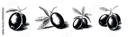Vintage black and white sketch of olives on branches with leaves and shadows, perfect for food branding, culinary projects, or rustic decor.