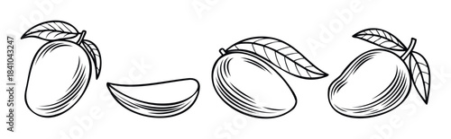 Black and white outline drawings of ripe mangoes and a mango slice, perfect for food packaging, healthy eating promotions, or tropicalthemed graphic resources.