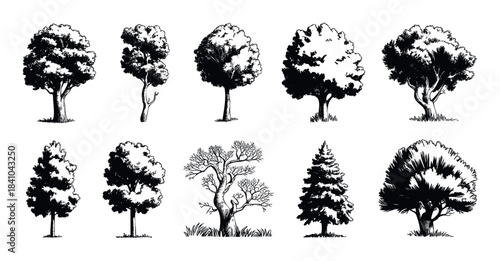 Collection of various black and white tree shapes and styles for natural landscape visualization and graphic projects