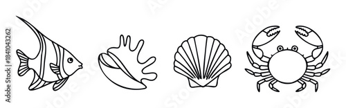Collection of simple line drawings featuring a fish, a conch shell, a scallop shell, and a crab, perfect for marine life themes and oceanrelated projects