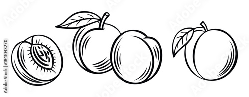 Collection of line art fruit icons including a halved peach and whole peaches with leaves, perfect for food packaging, recipe books, and healthy eating promotion.