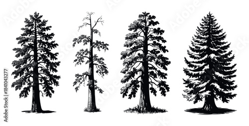 Collection of various types of evergreen and deciduous trees in a silhouette style, perfect for natural themes and forest imagery.