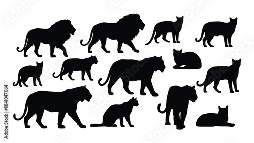 Collection of various big cat and feline animal forms a striking silhouette