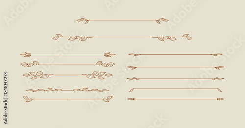 Vintage floral Botanical Line Art Dividers nature inspired collection