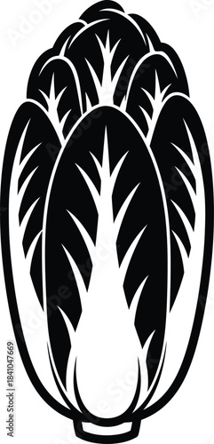 Black and white vector graphic of napa cabbage for design and illustration eps silhouette