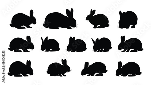 Collection of various rabbit poses in a striking black silhouette