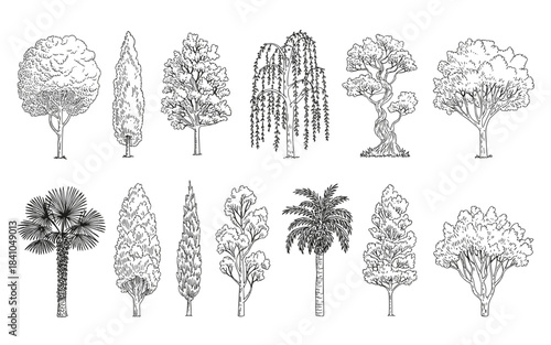 Collection of hand drawn black and white tree illustrations