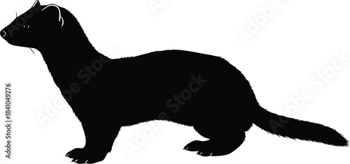 Ferret silhouette vector illustration mustelidae animal mammal pet mink eps