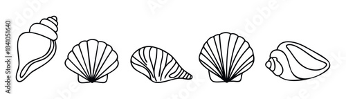 Collection of outline drawings of assorted seashells, including conch and scallop shapes, perfect for marinethemed graphics and ocean resort branding.