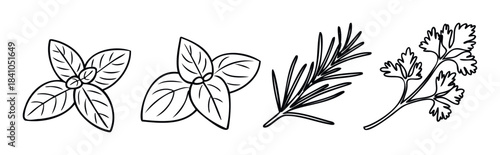 Collection of fresh herbs including basil, rosemary, and parsley presented in a simple line drawing style for culinary and health related applications