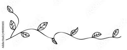 Simple line drawing of a growing vine with leaves, perfect for nature themes and organic backgrounds, providing a natural and fresh accent for various projects.