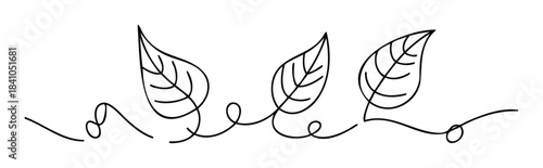 Elegant botanical outline with three stylized leaves and flowing line work for nature inspired branding or decorative accents