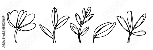 Abstract black line art elements of leaves and flowers for organic nature themes and botanical graphic projects