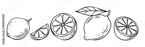 Collection of black and white lemon and lime slices and whole fruits, perfect for culinary themes, healthy food concepts, and graphic resources.