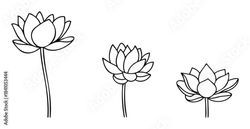 Elegant line art drawings of lotus flowers in various stages of bloom, perfect for emblems, invitations, or spiritual media projects.