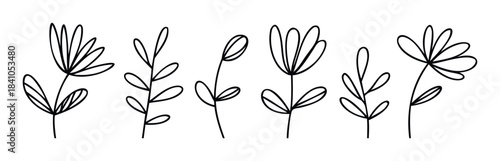 Simple outline collection of stylized floral and plant elements for organic decor and natural branding projects