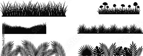 Grass and foliage silhouette collection for nature design, botanical plant borders illustration, garden elements artwork showing decorative leaves, grass, and natural greenery
