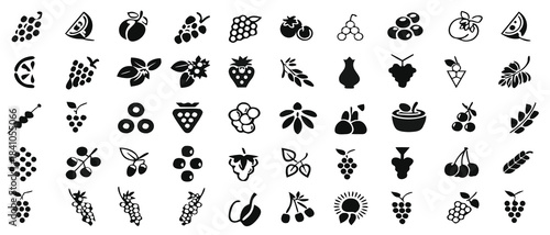 Diverse collection of vector fruit icons featuring cherries grapes berries and more