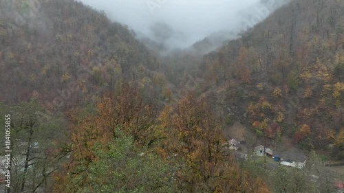 Foggy Autumn Forest Above a Northern Iran Village – Cinematic Drone Shot
