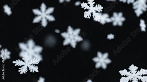 Floating Snow Crystals in Calm Minimal Winter Drift