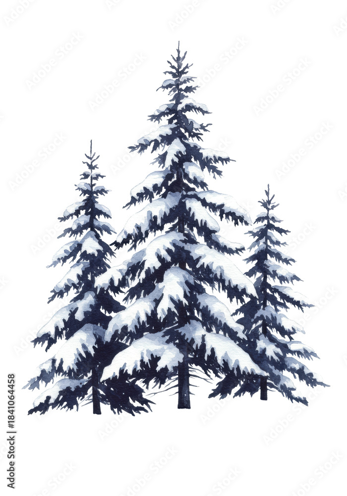 Fototapeta premium three towering snow-laden coniferous trees rendered in high-detail monochromatic watercolor (indigo/gray), centered on a transparent background with copy space concept of deep winter solitude