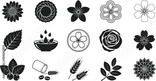 Collection of black and white floral botanical and nature vector icons eps silhouette
