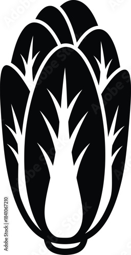 Bok choy chinese cabbage vector illustration healthy food ingredient eps silhouette