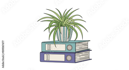 A cozy office or study scene featuring a green spider plant in a striped pot sitting on a stack of two ring binders.