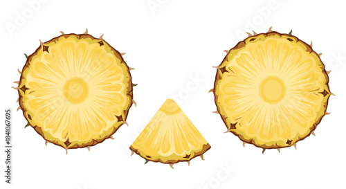 A set of fresh, juicy pineapple slices, including two round cross-sections and one wedge, isolated on a white background.