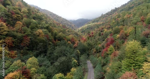 Fog Over Autumn Mountains and Dense Forest – 4K Cinematic Drone Shot