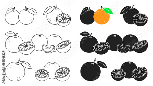 Versatile Vector Set of Whole and Sliced Oranges, Showcasing Different Styles from Minimalist Outlines to Bold Silhouettes, Ideal for Food and Drink Design and Healthy Concepts