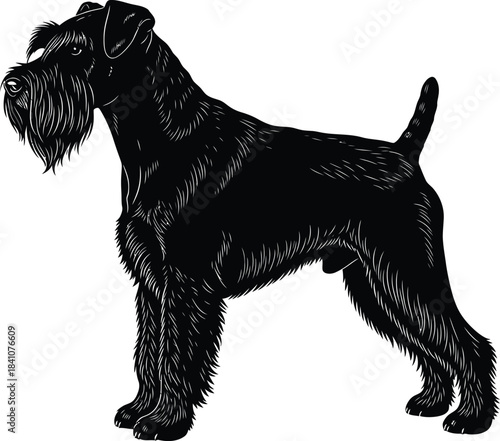 Black schnauzer terrier dog breed silhouette vector art illustration eps