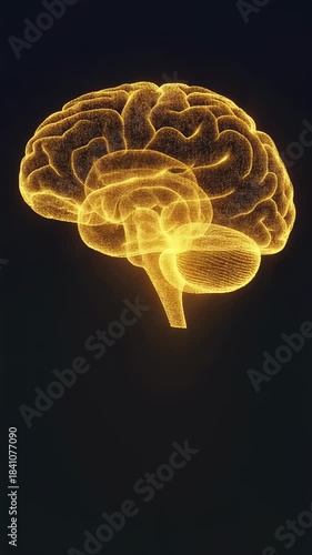 Animated glowing digital brain hologram with detailed neural structure on dark background