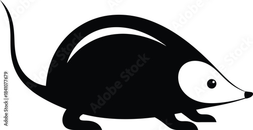 Find black and white echidna vector illustration stock image design eps silhouette