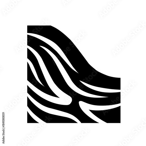 corner border with zebra pattern