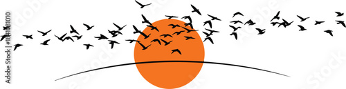 Silhouette birds flying over orange sun minimalist vector illustration eps