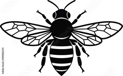 Honey bee vector illustration black and white insect drawing isolated eps silhouette
