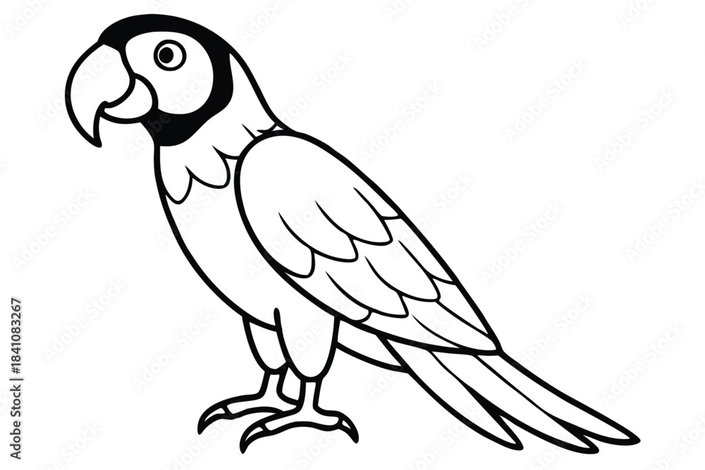 Fototapeta premium macaw silhouette line art vector illustration with a white background