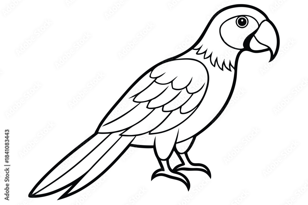 Fototapeta premium macaw silhouette line art vector illustration with a white background