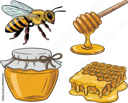 Set of honey products including a bee, dipper, jar, and dripping honeycomb, sweet food illustration