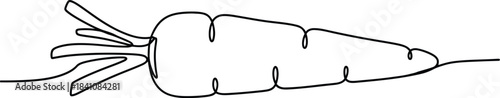 Minimalist line art illustration of a fresh carrot on a clean white background