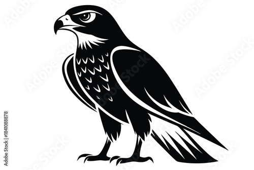hawk silhouette line art vector illustration with a white background