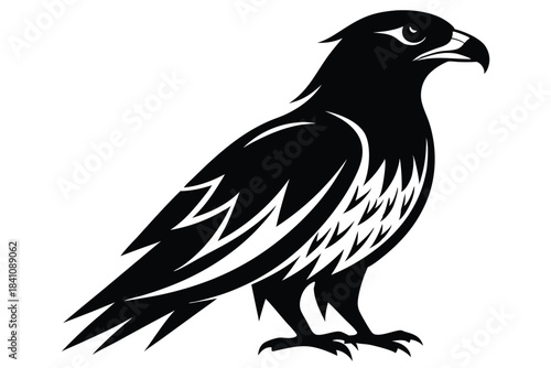 hawk silhouette line art vector illustration with a white background
