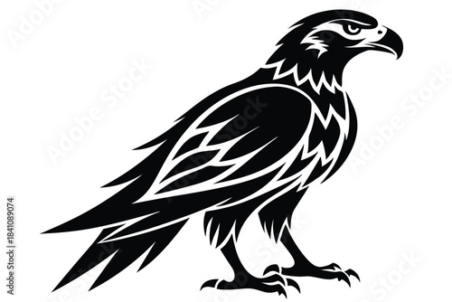 hawk silhouette line art vector illustration with a white background